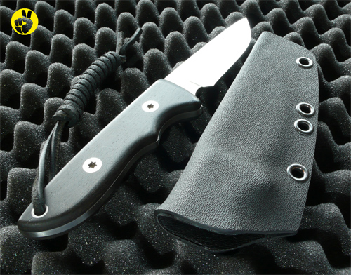 Custom-Holster3.jpg
