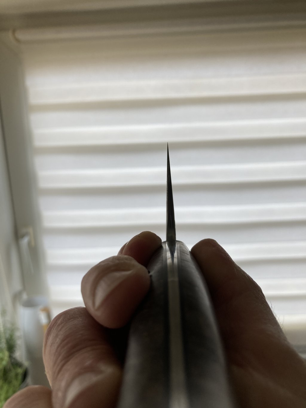 46015071vk.jpg