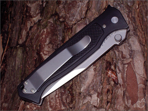 valloton_02.jpg