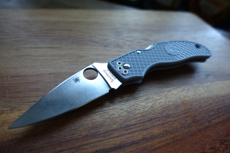 44502491ys.jpg