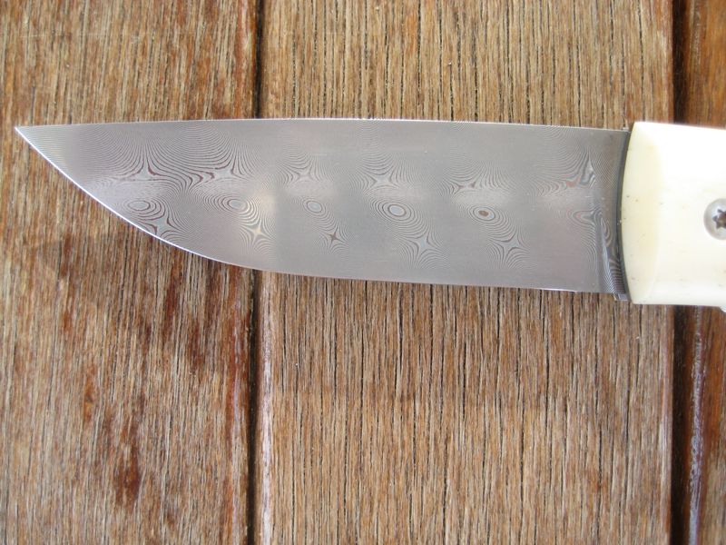 Boll_Schneider_5166s.jpg