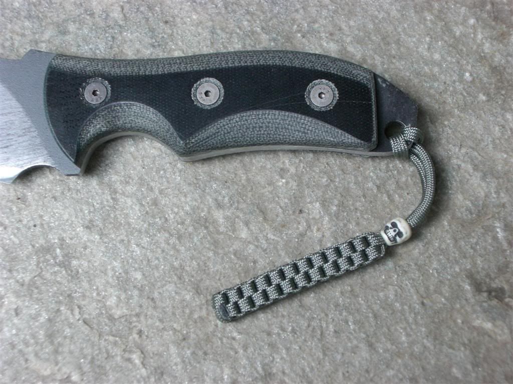 CIMG3168Large.jpg