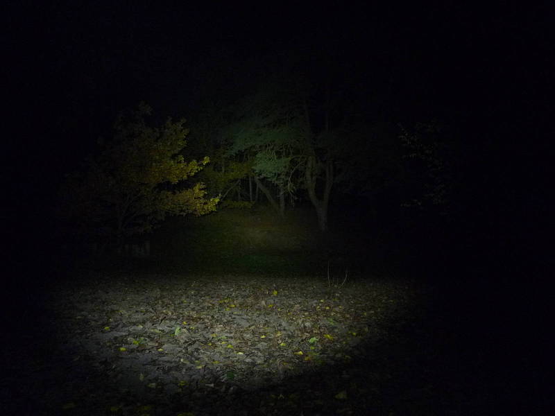 P1020102.JPG