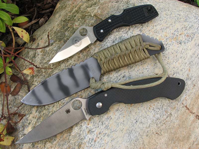 Delica-MFS-MiliCF.jpg