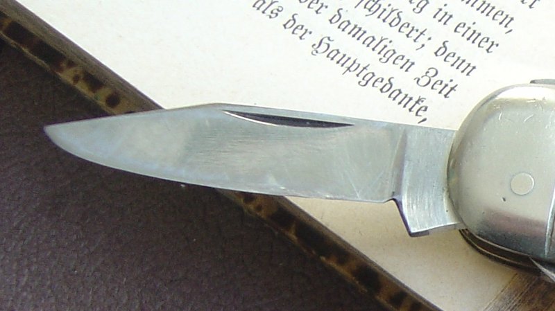 11542527po.jpg