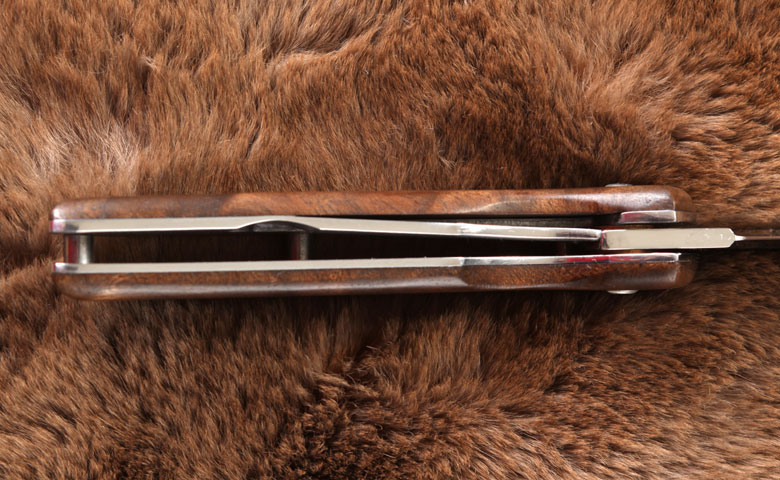 Irbis_Nagelhieb_Liner_780px.jpg
