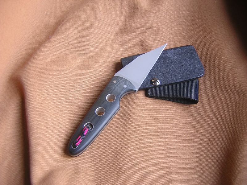 ronin03.JPG
