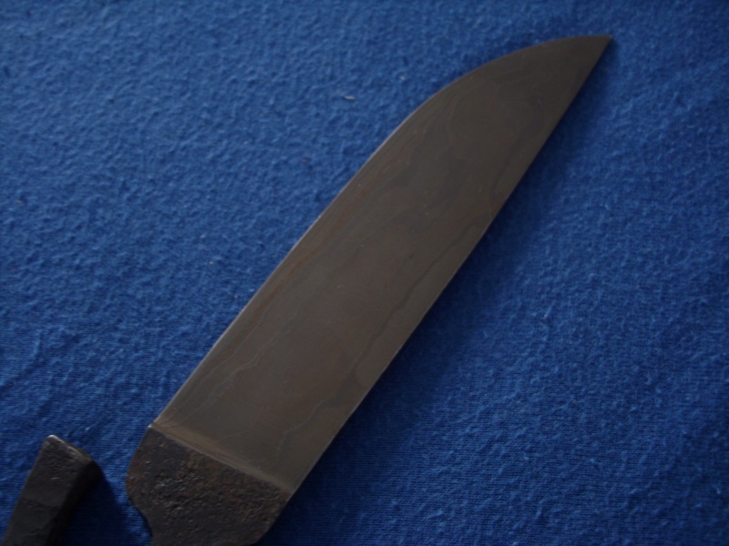 dsci0116.jpg
