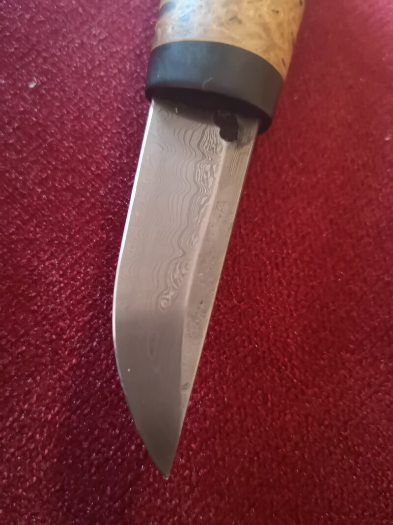 49190572vi.jpg