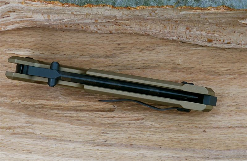 Nemesis_6.jpg