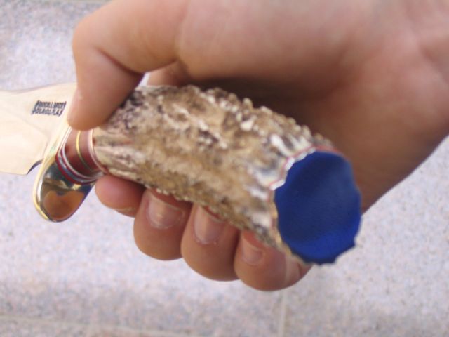 Randall_27_G_IMG_2933s.jpg