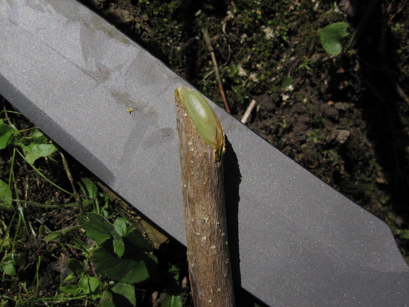 Schanz_Jahresmesser_2010_0004.JPG