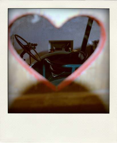 DSC_0565NEF-pola.jpg