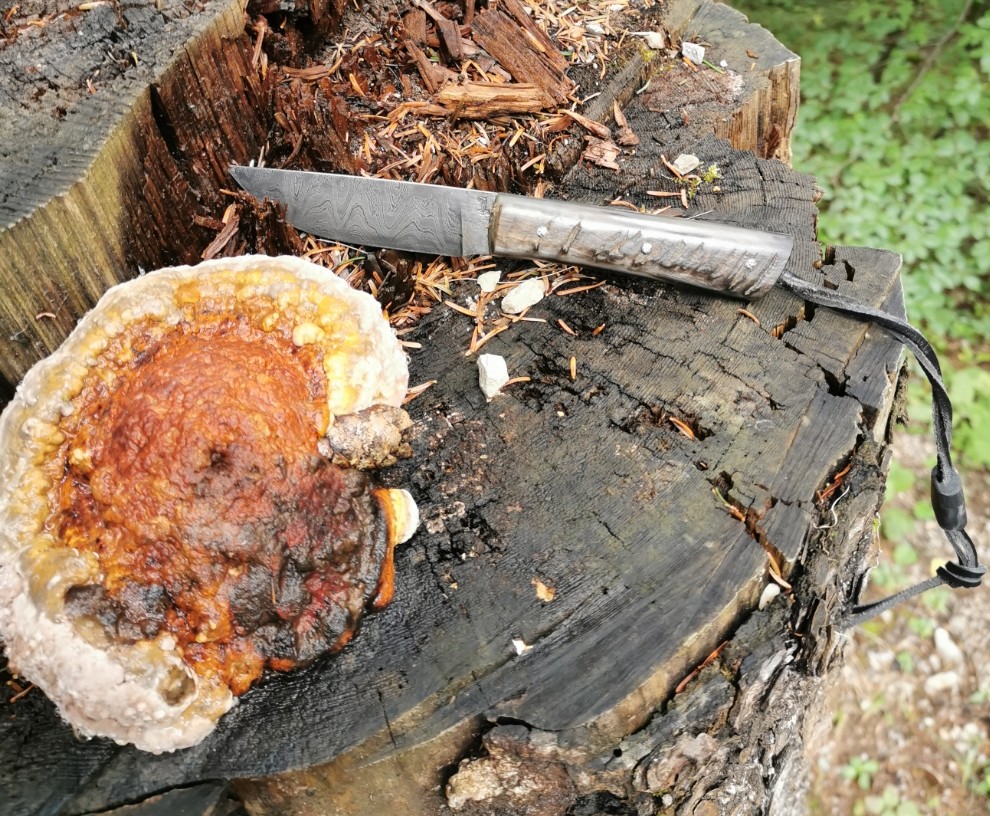 2025-09-10-Haui-am-Pilz.jpg