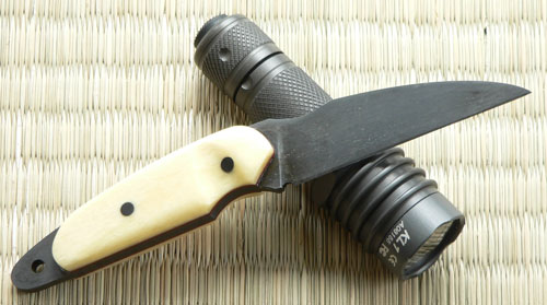 317_p3735.jpeg