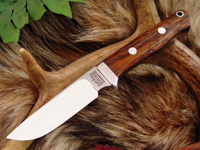 Cocobolo_Jenni_sized.jpg