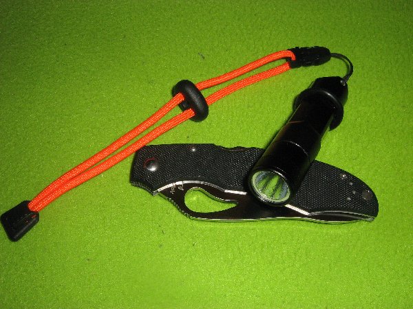 Byrd_P1D_600x450.JPG