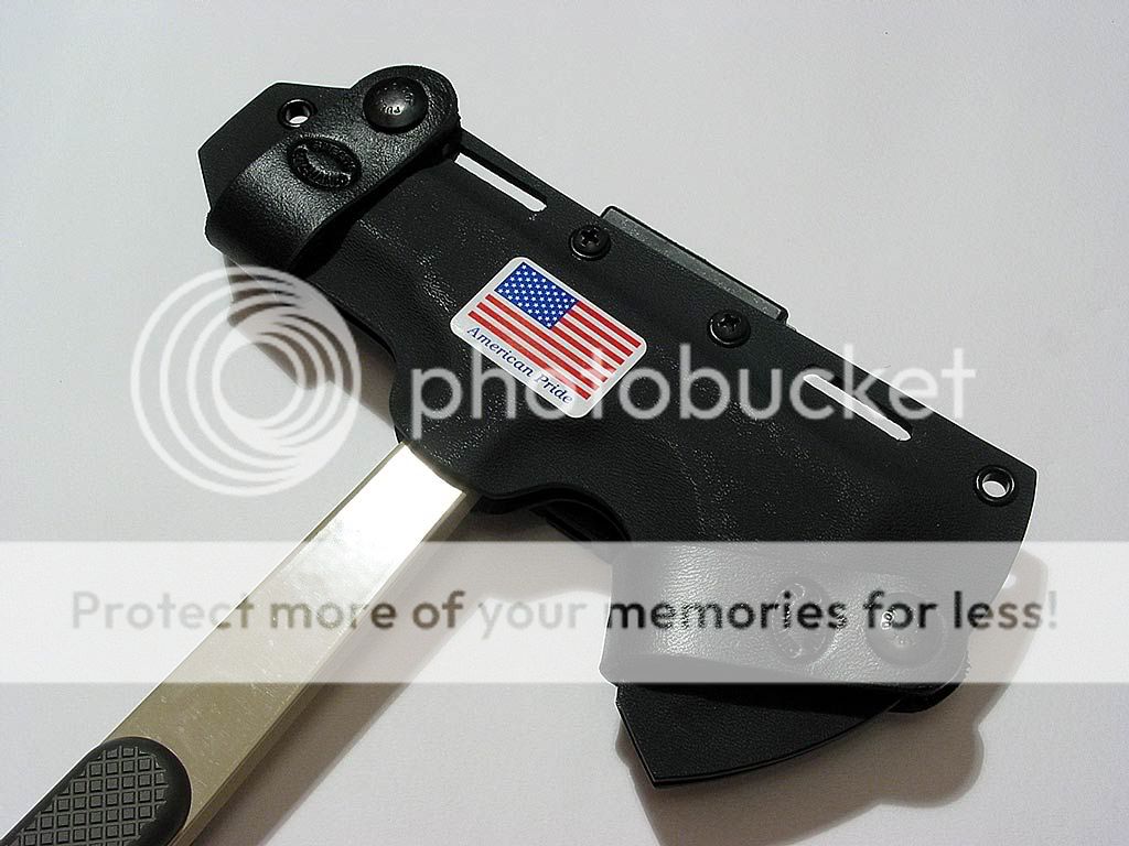 hawk01.jpg