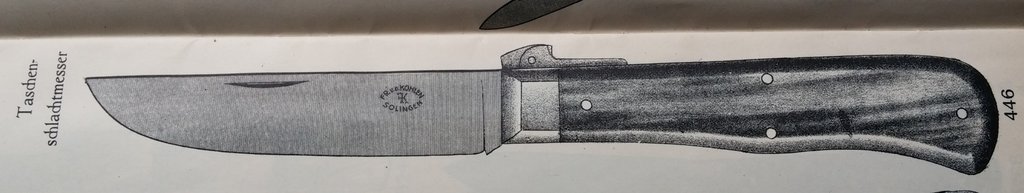 25148466ar.jpg