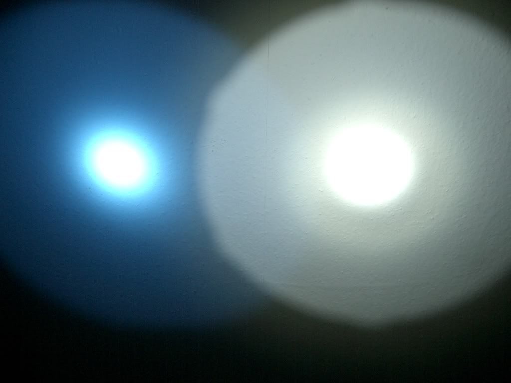 CIMG0982.jpg