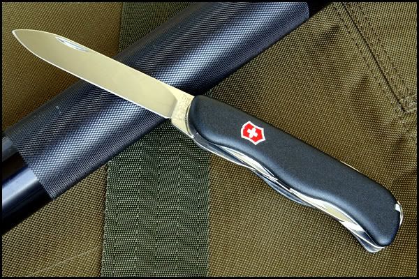 trailmaster03.jpg