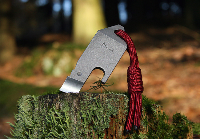 atwood_pop_nchops_003.jpg