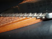 164.jpg