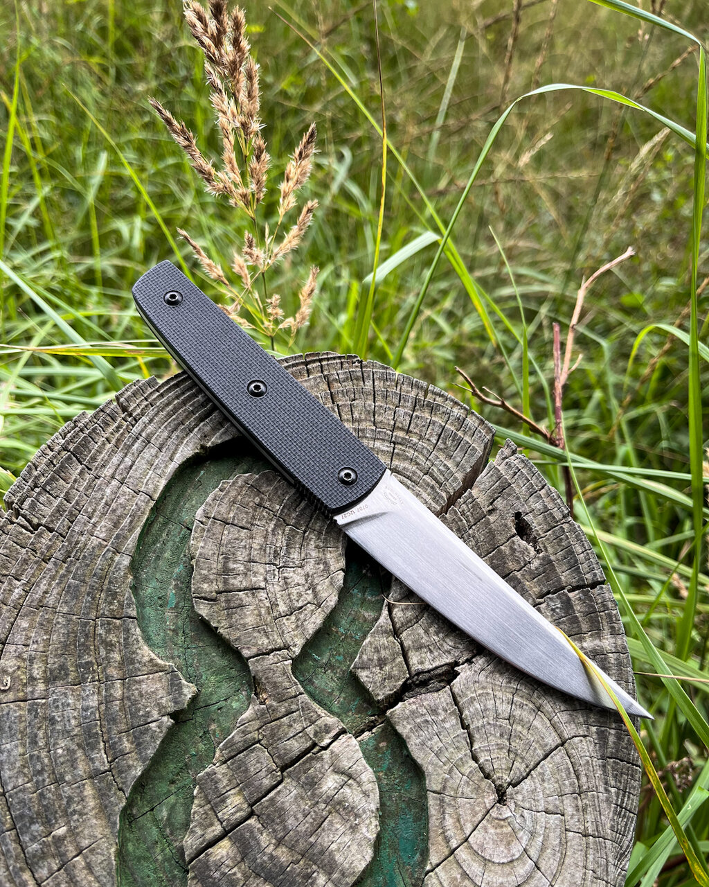 48807903sv.jpg