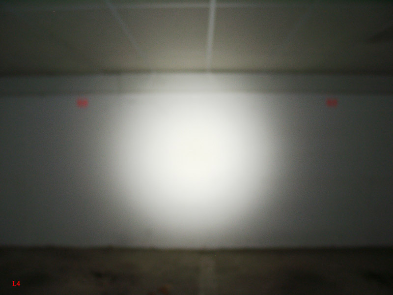 213_p2013.jpg