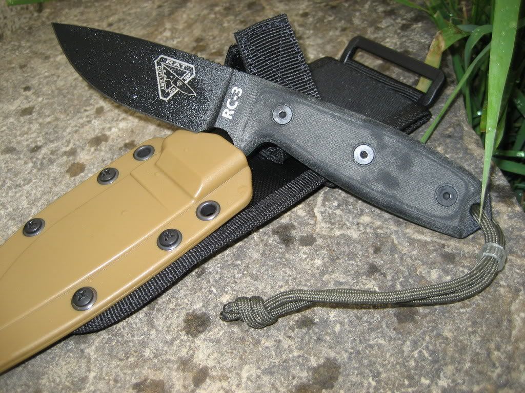 RC-3klein06.jpg