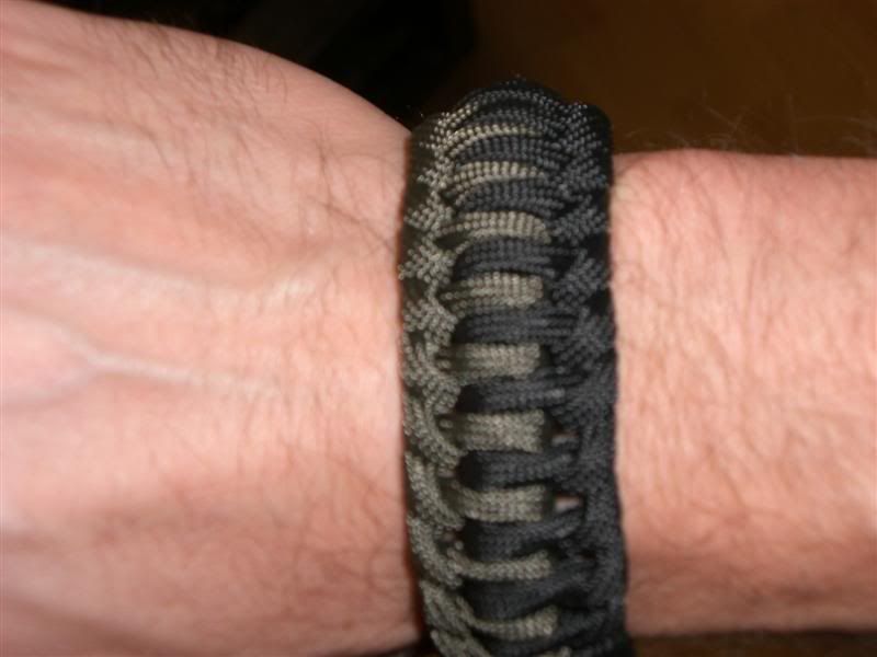 CIMG1826Medium.jpg