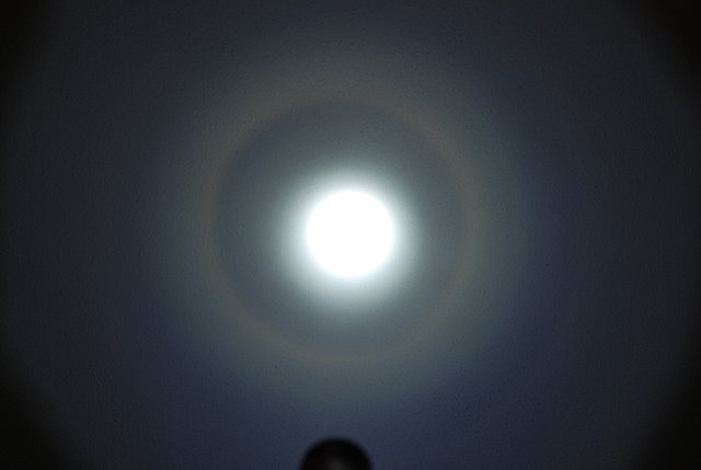 DSC_0086.JPG