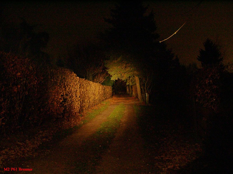 213_p1994.jpg