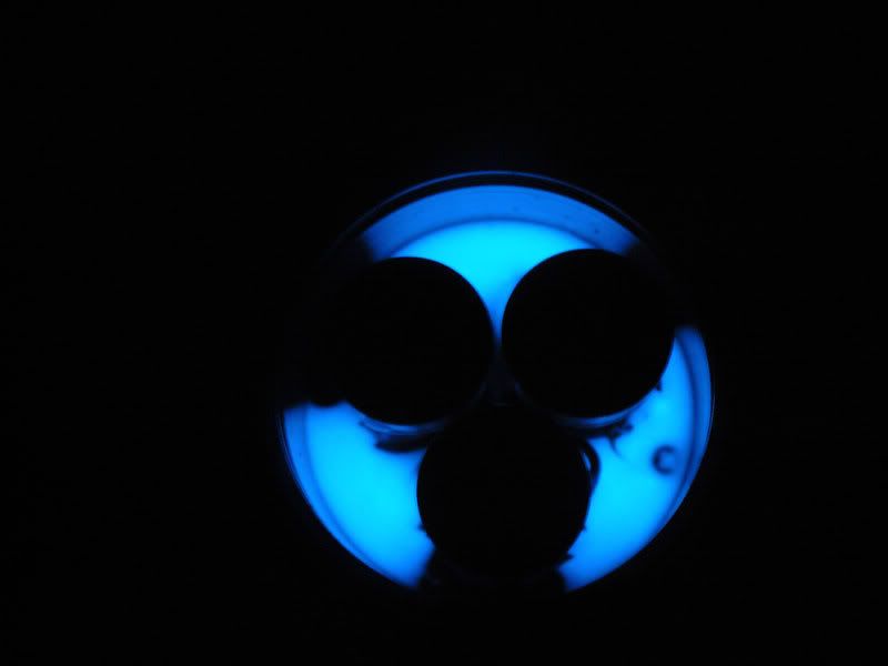 GID-1.jpg