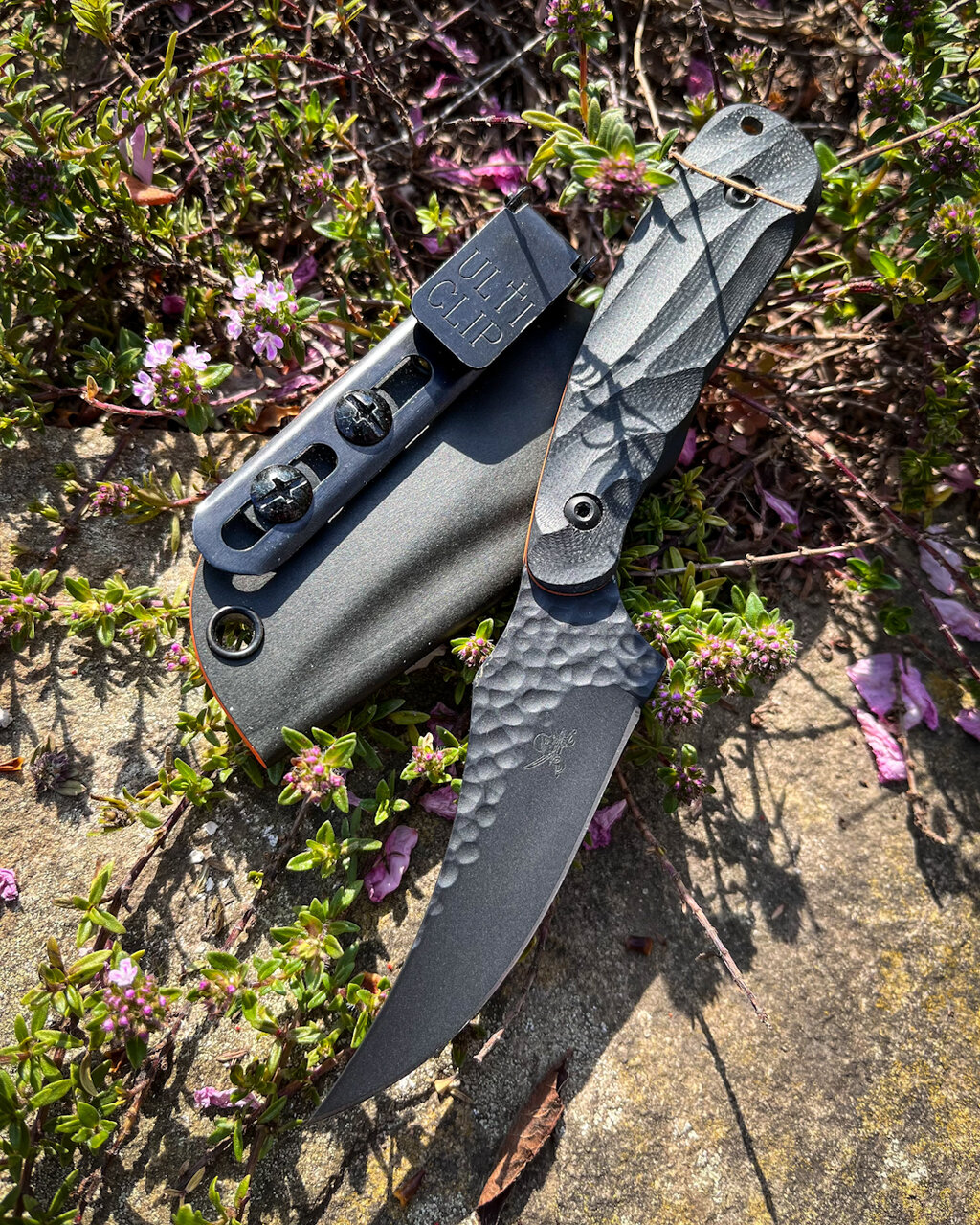 49573973nd.jpg