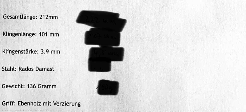 37599051cv.jpeg