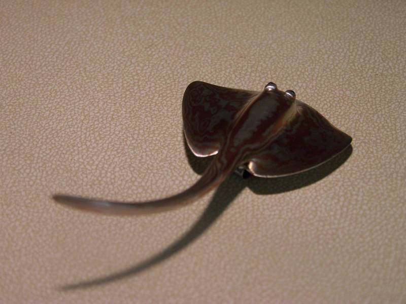 100_5939.JPG