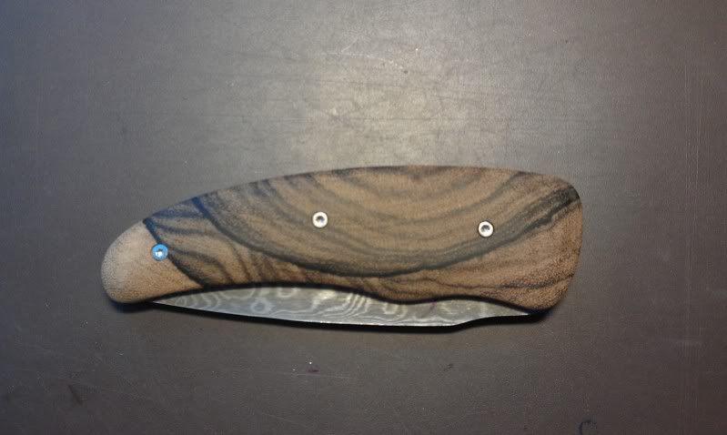 IMAG0125.jpg