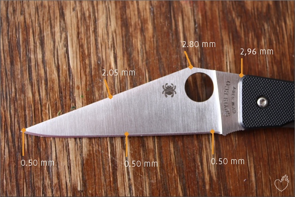 spyderco_chokwe_011.JPG