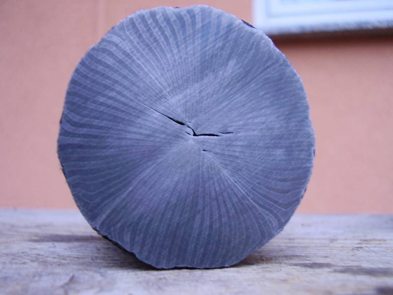 Sternenstahl_004.jpg