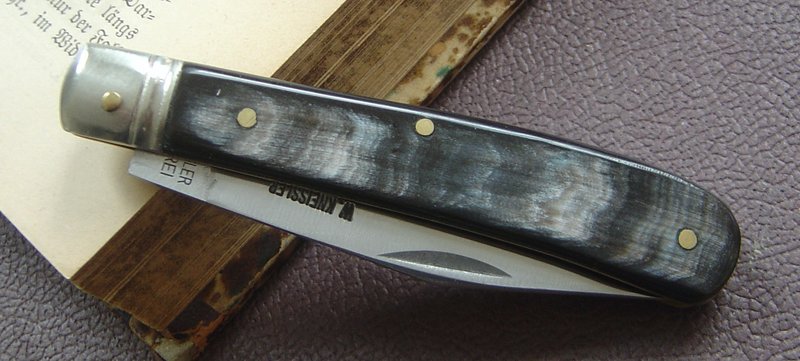 13623506pg.jpg