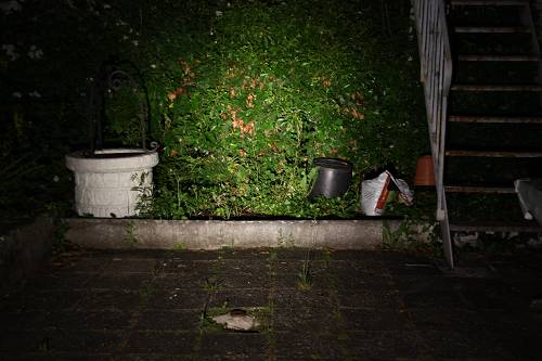 SC50w_1-14_33lm_500_x_500_.jpg