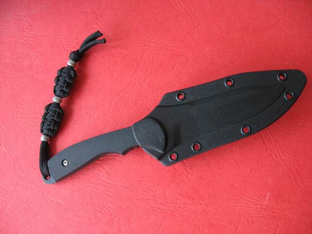 713.jpg