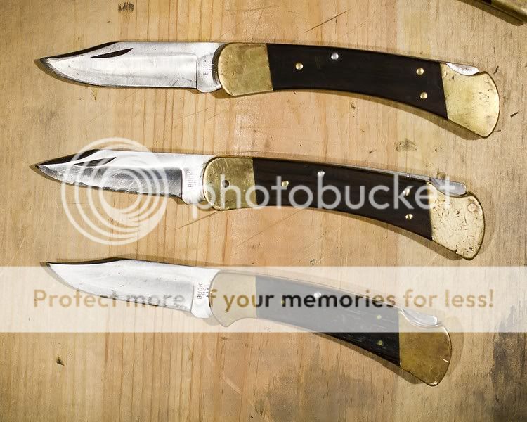 Bucksverranzt.jpg