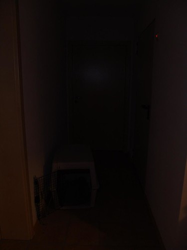 2060845500_1fe465a3e4.jpg