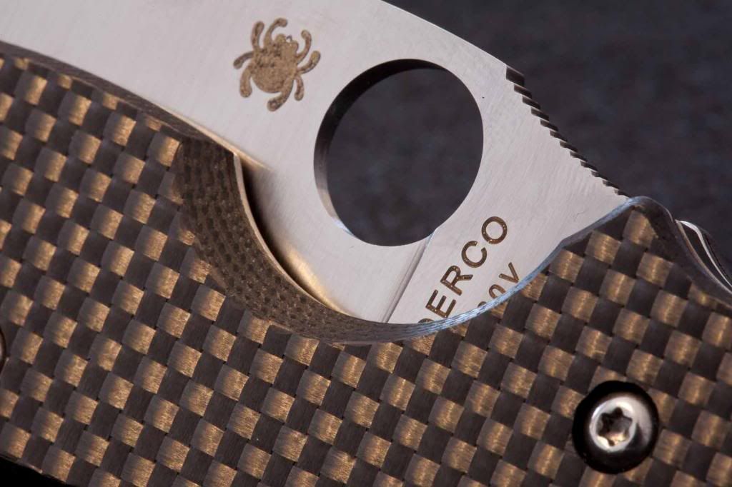 SpydercoSageBild7_zpsb9582551.jpg