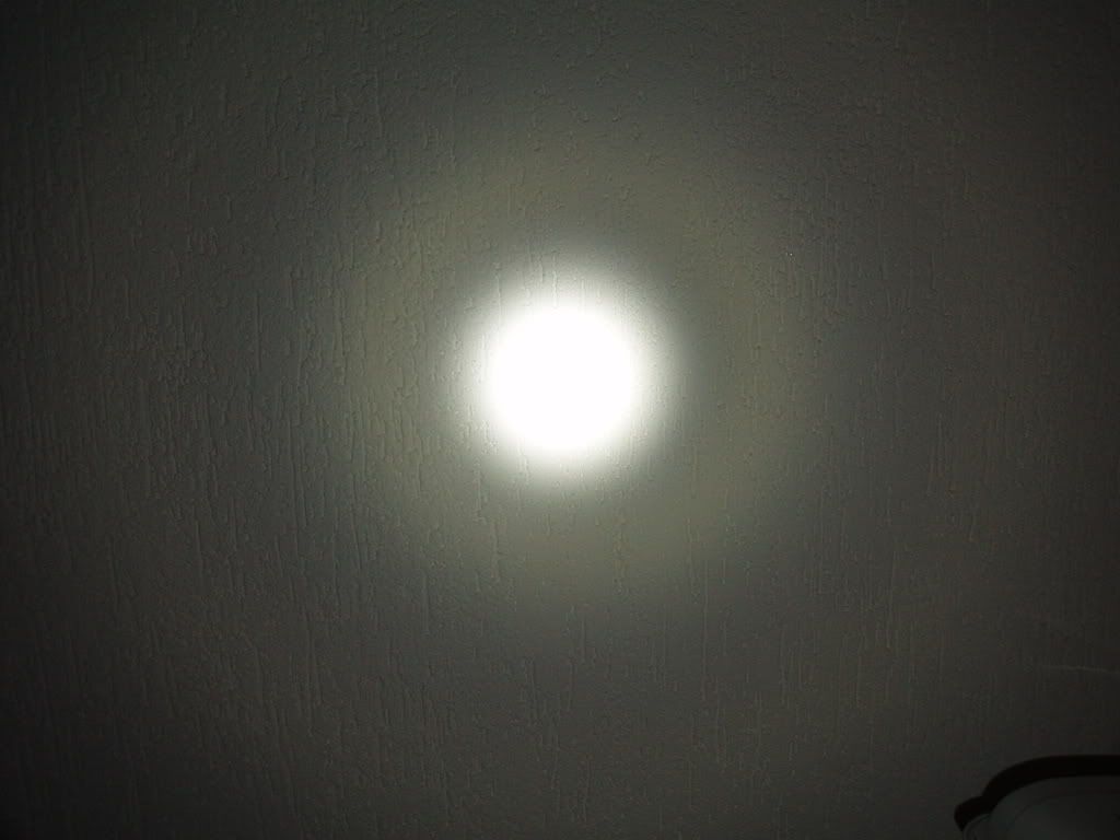 P8090075.jpg