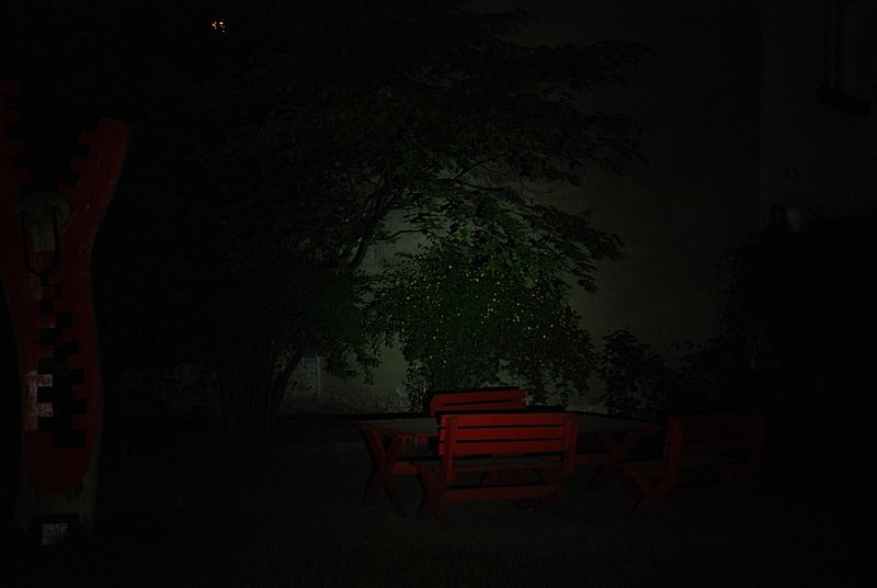 DSC_0610_MJPhigh.JPG