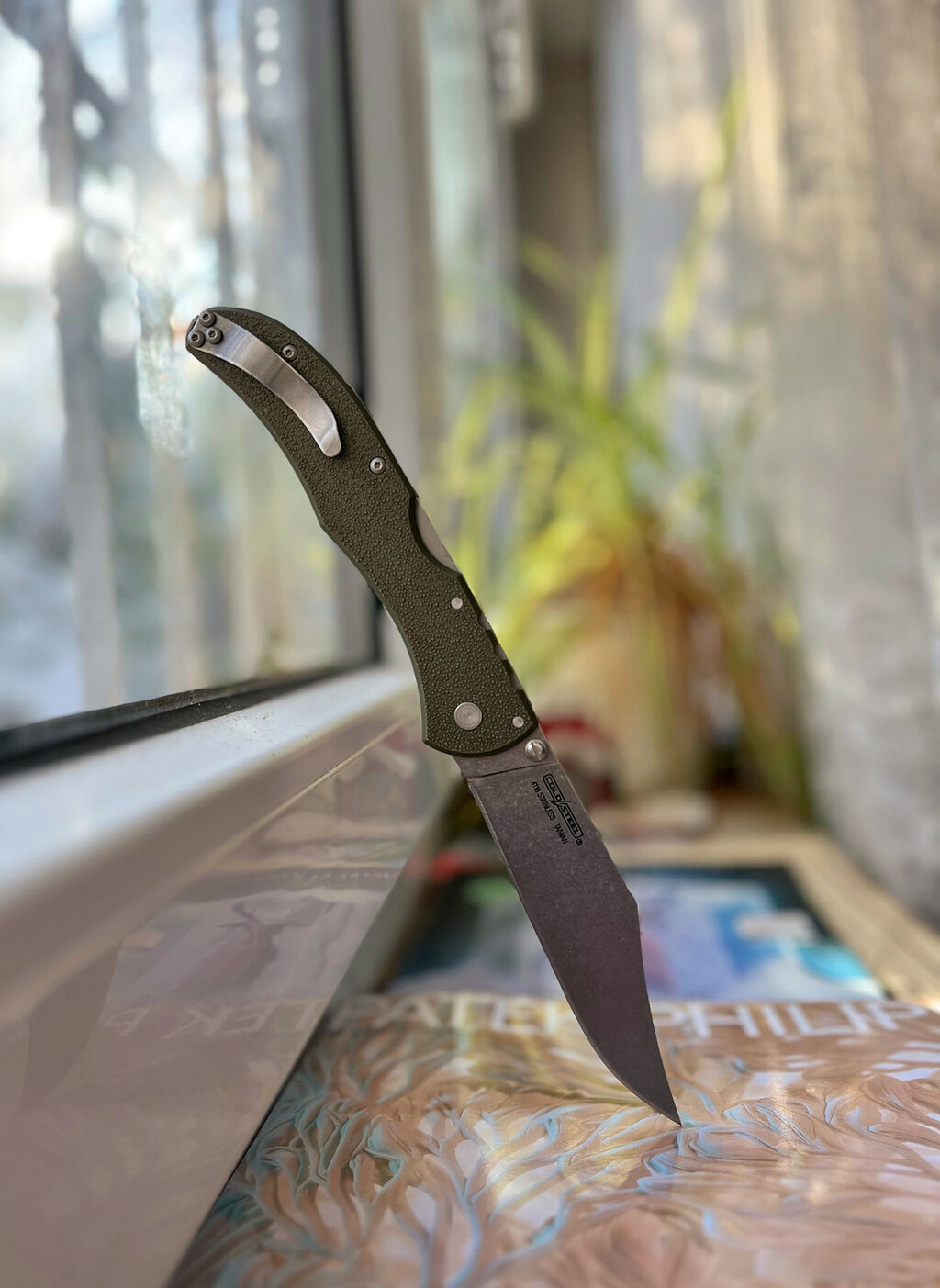 49054566ub.jpg