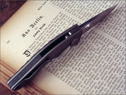 anso_rebel_07.jpg